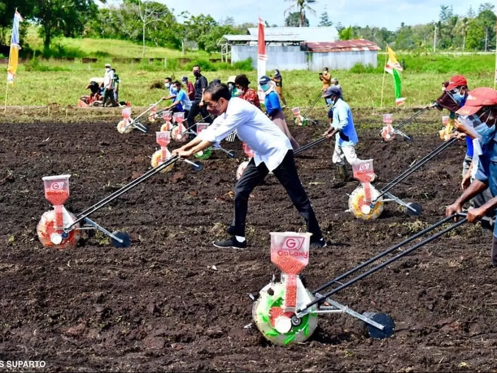Momen Jokowi bajak lahan di Papua. (Instagram/@jokowi)