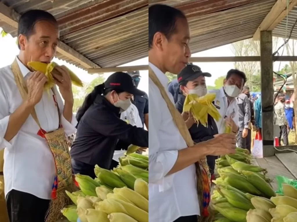 Presiden Jokowi dengan lahap menyantap jagung rebus didampingi Puan Maharani. (Foto/Youtube/Sekretariat Presiden)