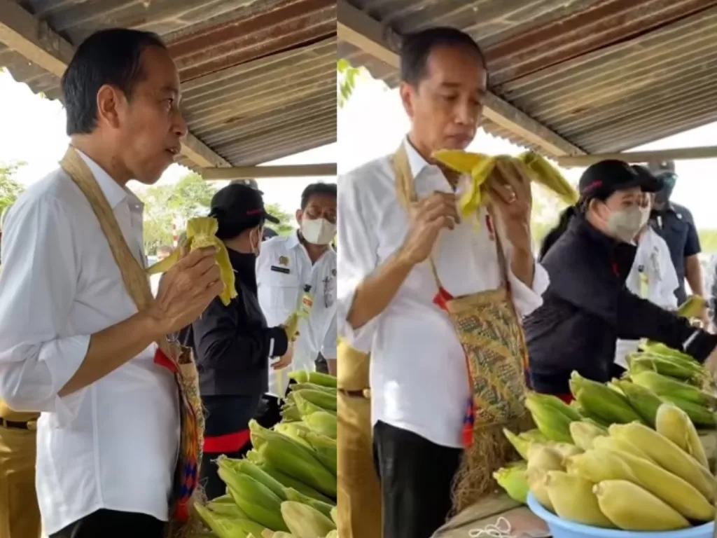 Presiden Jokowi memakan jagung rebus di pedagang pinggir jalan di Sorong, Papua Barat. (Youtube/Sekretariat Presiden)
