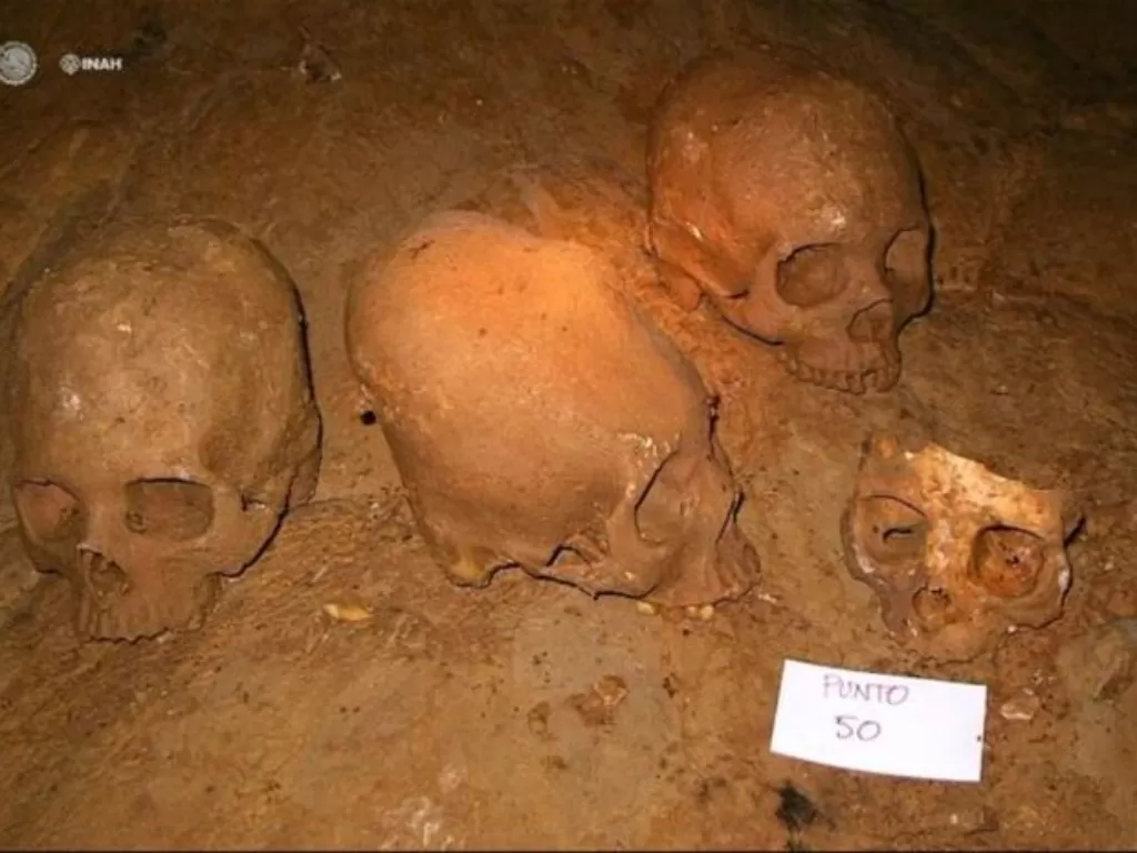 Penemuan sisa tulang belulang oleh arkeolog. (photo/Dok. Histecho)