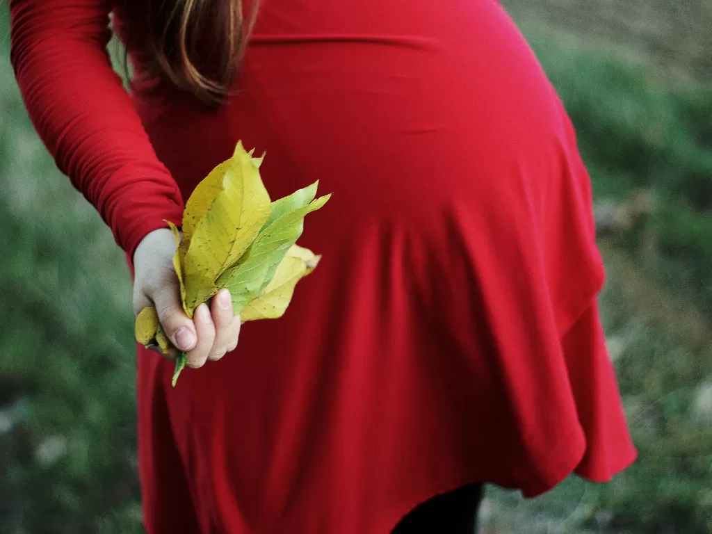 Ilustrasi ibu hamil. (Pexels/Michaela Markovicova)