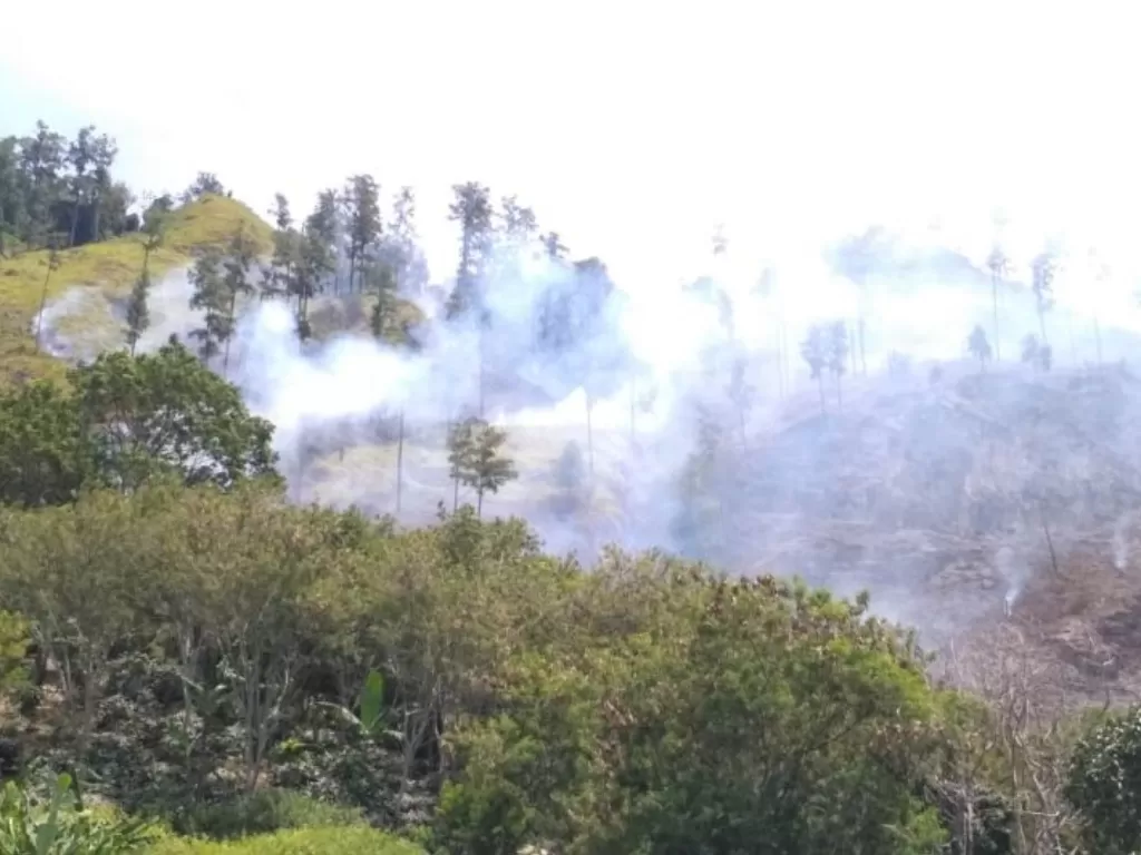 Dokumentasi - Kebakaran hutan lindung di kawasan Desa Mendele Utung-Utung Kecamatan Kebayakan, Aceh Tengah, Kamis (14/10/2021). (ANTARA/HO-BPBD Aceh Tengah) 