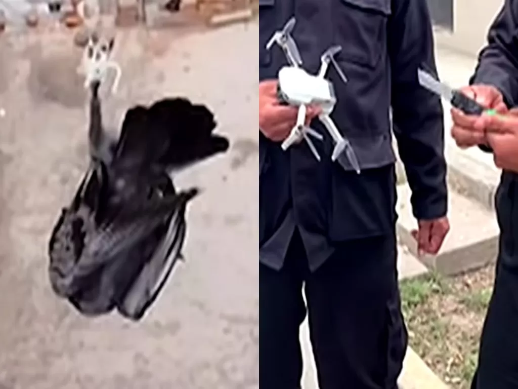 Polisi berhasil menyelamatkan seekor burung merpati yang terjebak di kabel listrik. (Photo/YouTube/Reuters)