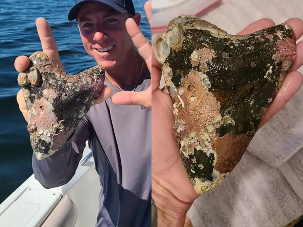 Kapten kapal ini menemukan gigi megalodon prasejarah. (Photo/Instagram/@blackgoldfossilcharters)