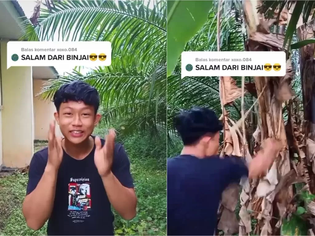 Aksi pemilik akun TikTok Paris Pernandes meninju pohon pisang dan mengucapkan salam dari Binjai (Tangkapan layar/TikTok)