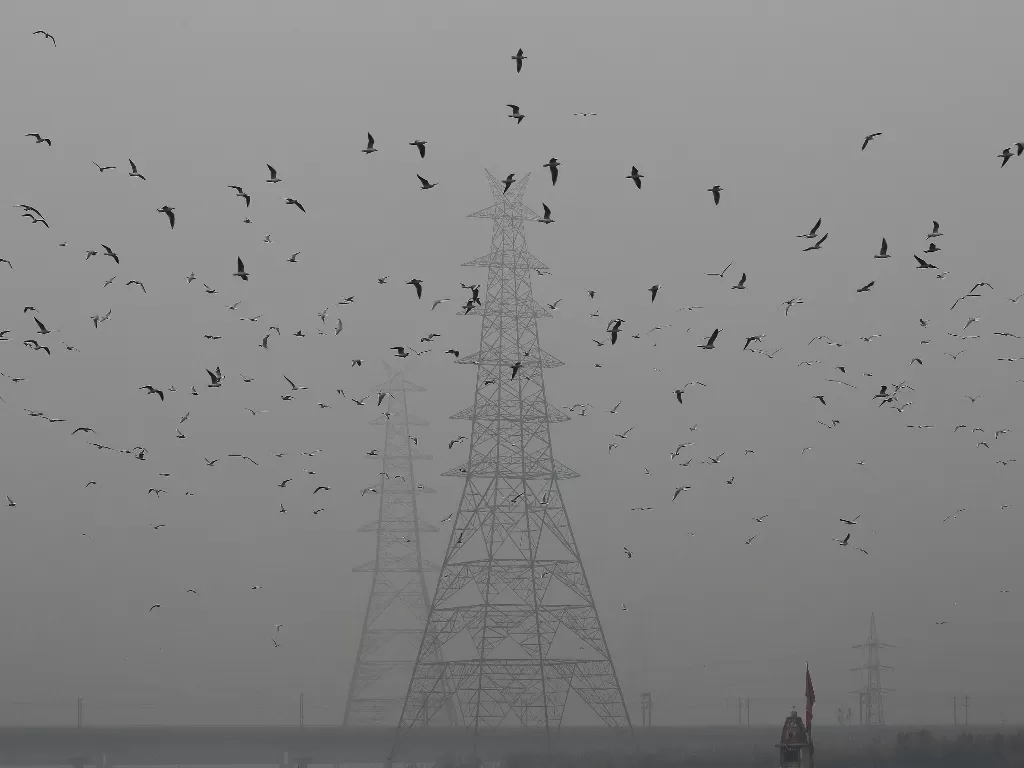  Sekawanan burung terbang di sebelah menara listrik pada sore yang berkabut di kawasan tua Delhi, India, 2019. ( REUTERS/Adnan Abidi/File Photo)