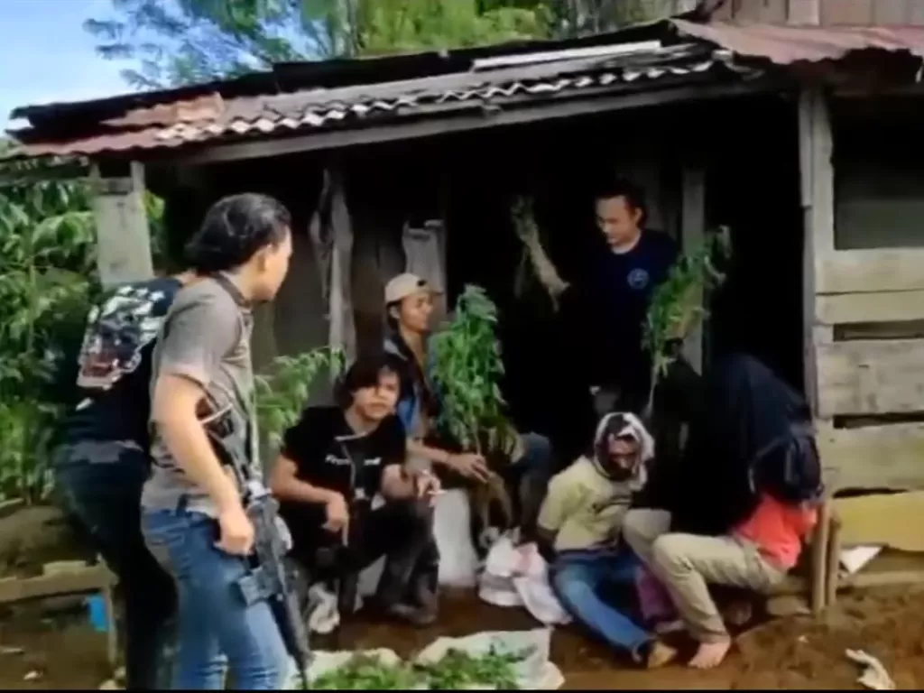 Tangkapan layar video tim gabungan reserse kriminal dan narkoba Polres Empat Lawang saat menangkap dua orang tersangka pembudidaya tanaman ganja.  (photo/ANTARA/HO-Polres Empat Lawang)