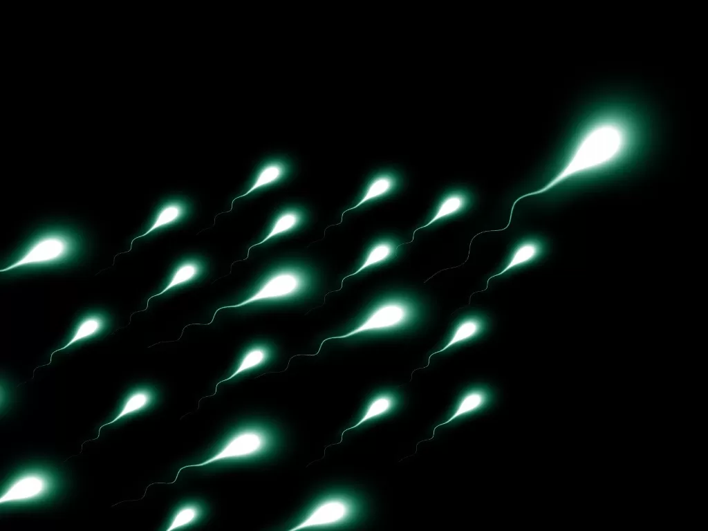 Ilusrtasi sperma (Gambar oleh Gerd Altmann dari Pixabay)