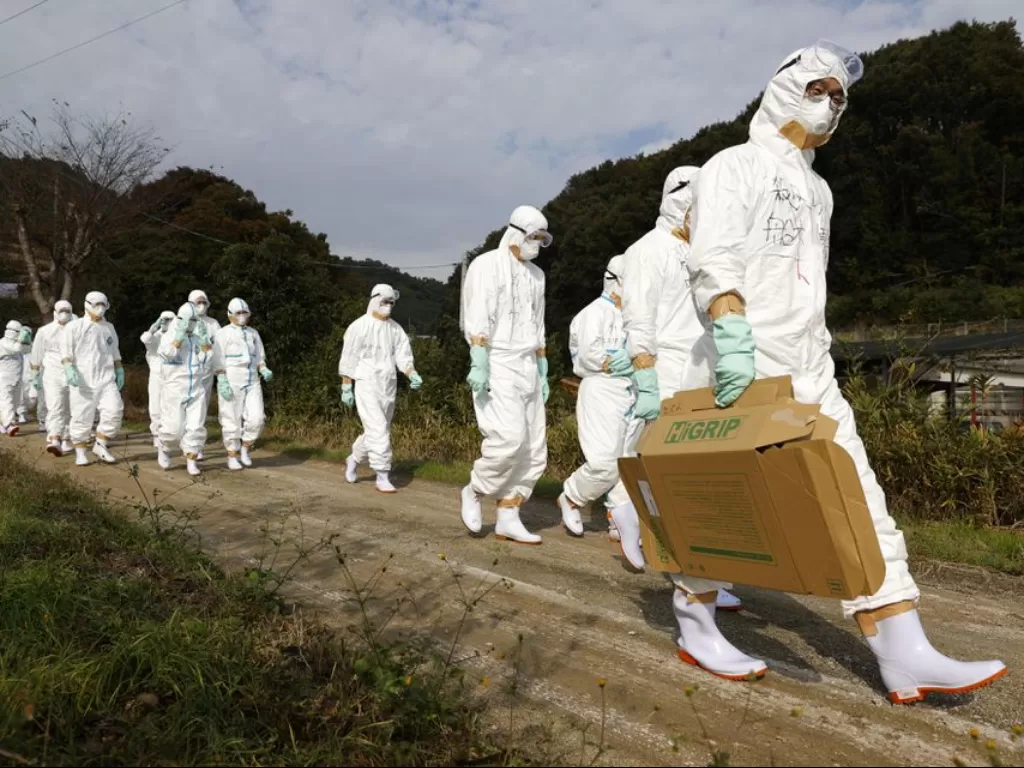Petugas memakai pakaian pelindung ke peternakan unggas atas dugaan terjadinya flu burung di Higashikagawa, Jepang.