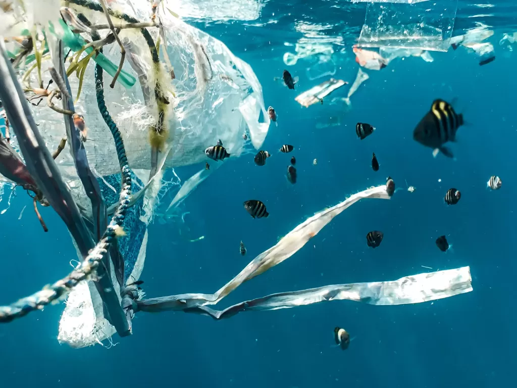 Ilustrasi sampah yang dibuang ke laut. (Photo/Ilustrasi/Unsplash)