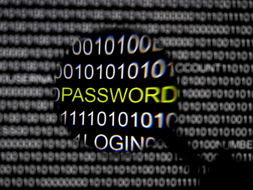 Ilustrasi password dengan kode binary (Ilustrasi/REUTERS/Pawel Kopczynski)