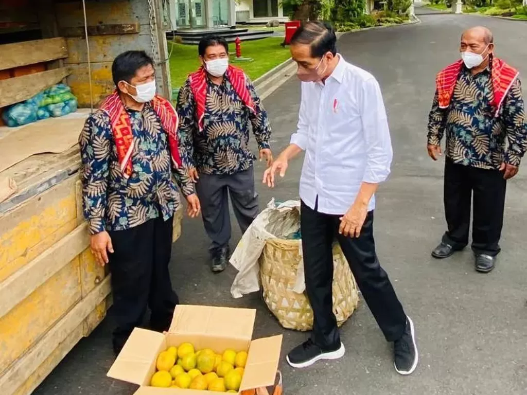 Tampilan Pak Jokowi menerima oleh-oleh jeruk manis dari warga Karo. (photo/Dok. Presiden Jokowi via Instagram)