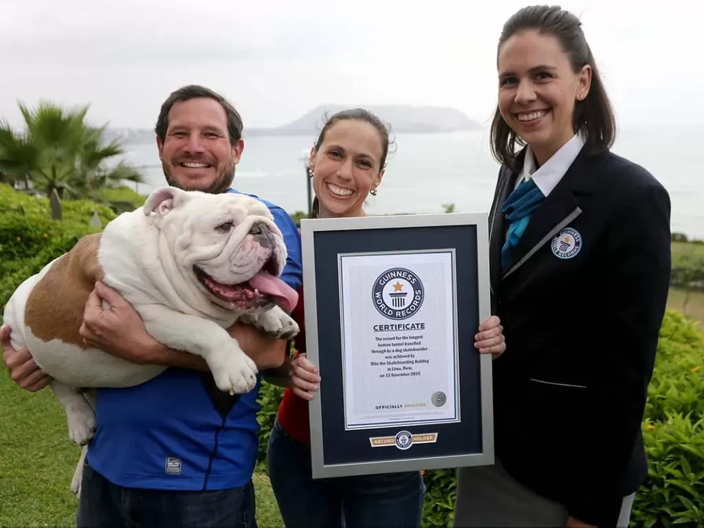  Anjing bernama Otto dan pemiliknya saat meraih Guinness World Record. (photo/dok.Guinness World Record)