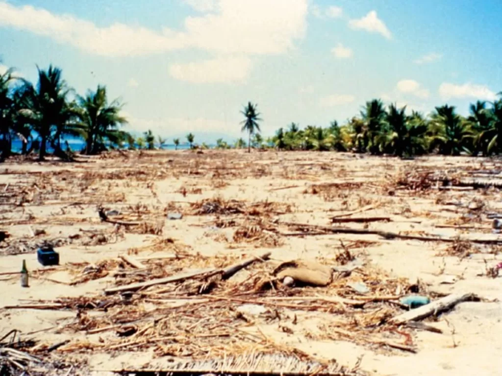 Gempa dan Tsunami Flores pada 12 Desember 1992 (Istimewa)