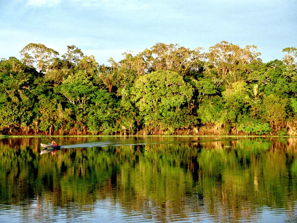 Hutan Amazon. (photo/Dok. Wikipedia)