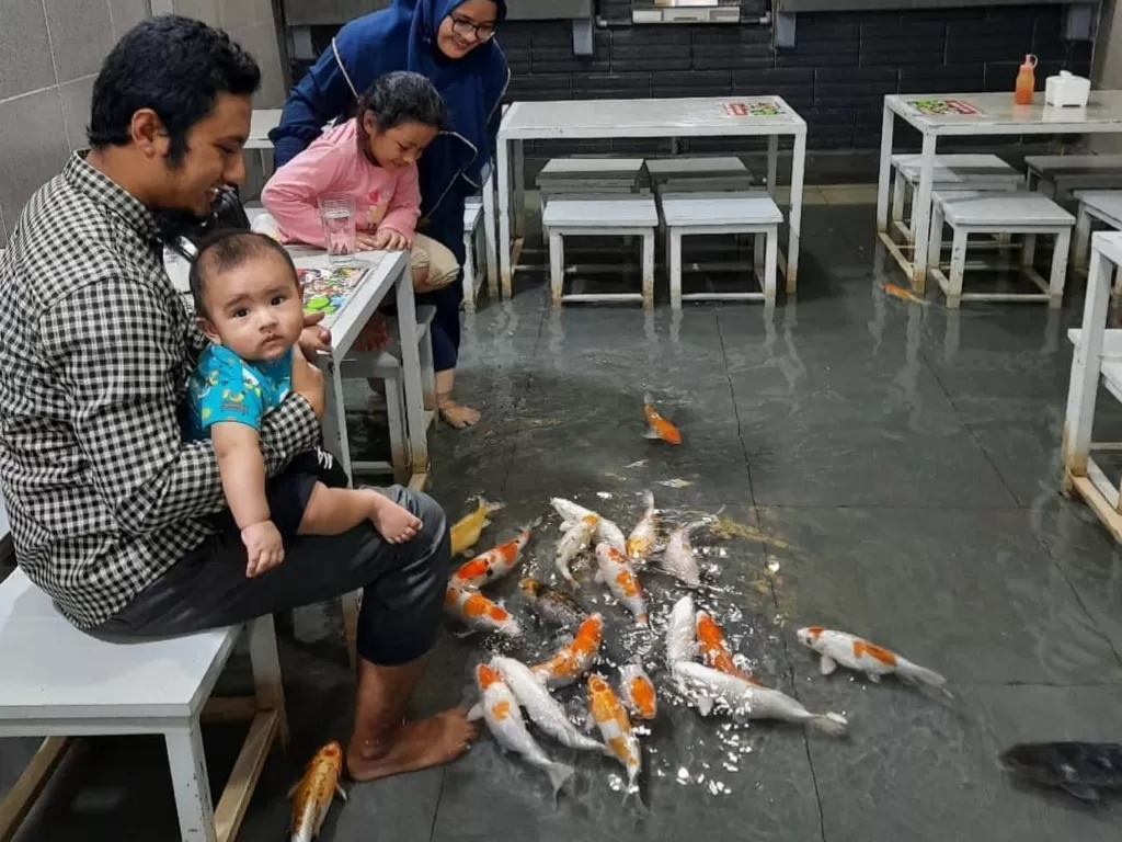 Sambil makan, pengunjung bisa berinteraksi dengan ikan (Irwansyah/IDZ Creator Community)