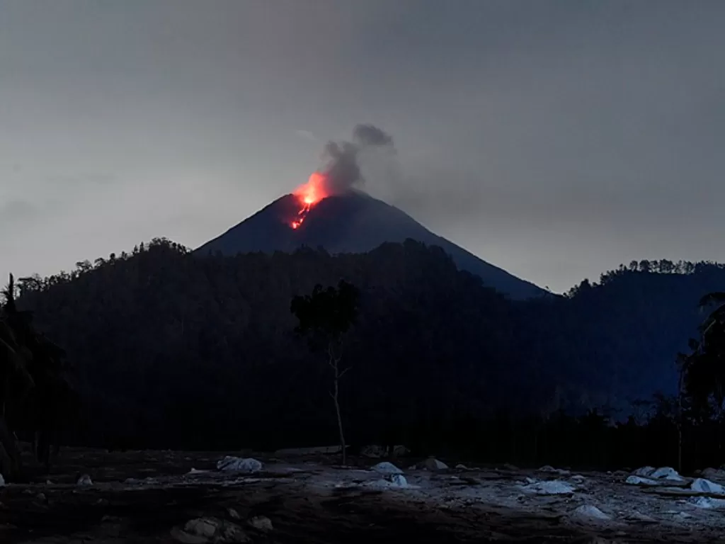 Gunung Semeru yang mengeluarkan lava pijar terlihat dari Desa Sumberwuluh, Lumajang, Jawa Timur. (ANTARA FOTO/Zabur Karuru)