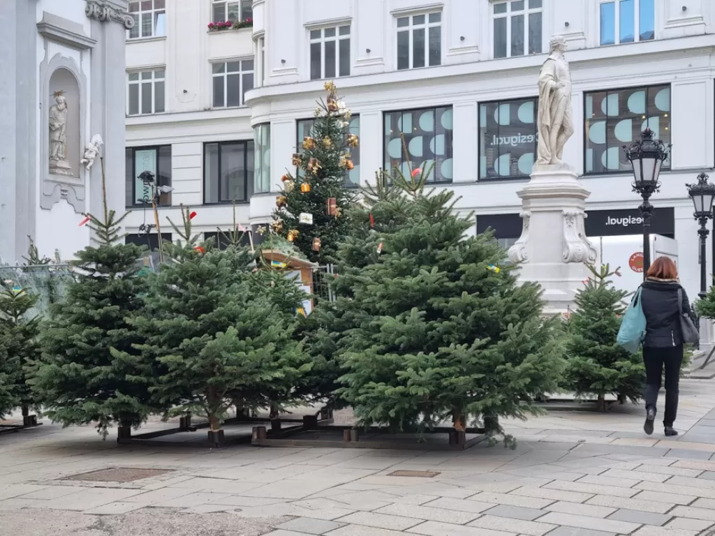 Penjualan pohon Natal di Austria. (IDZ Creator/Dini Khairunnisa)