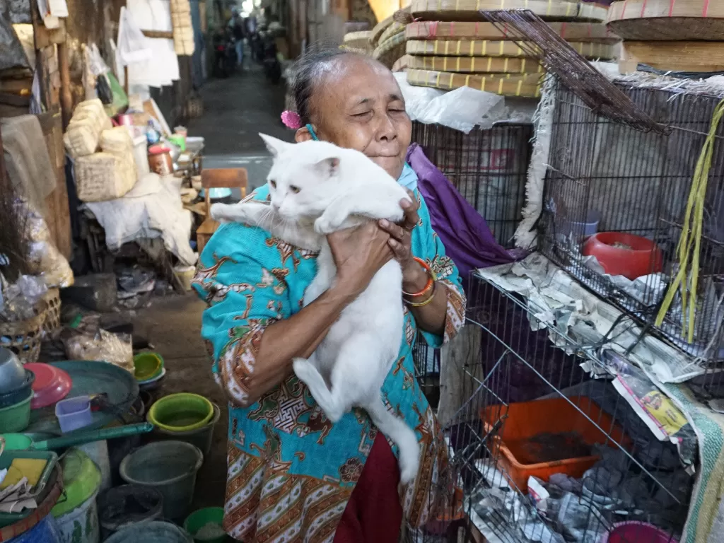 Mbah Sendang, pahlawan penyelamat kucing liar (Sunaryo Haryo Bayu/IDZ Creators)