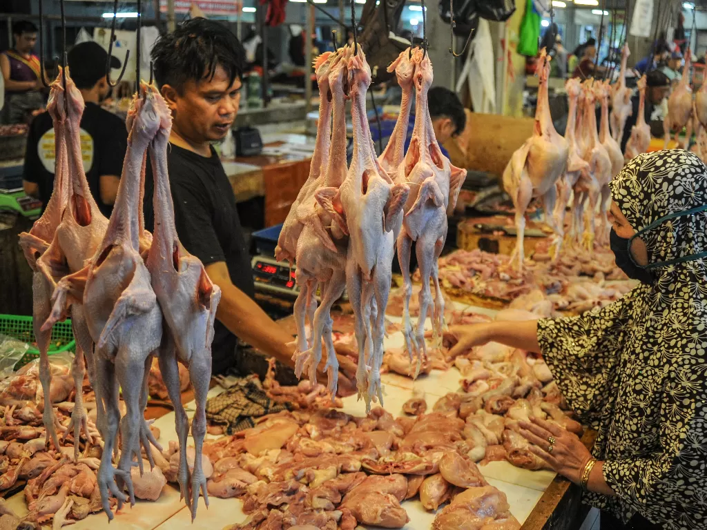 Pedagang melayani pembeli membeli daging ayam. (ANTARA FOTO/Raisan Al Farisi/wsj)