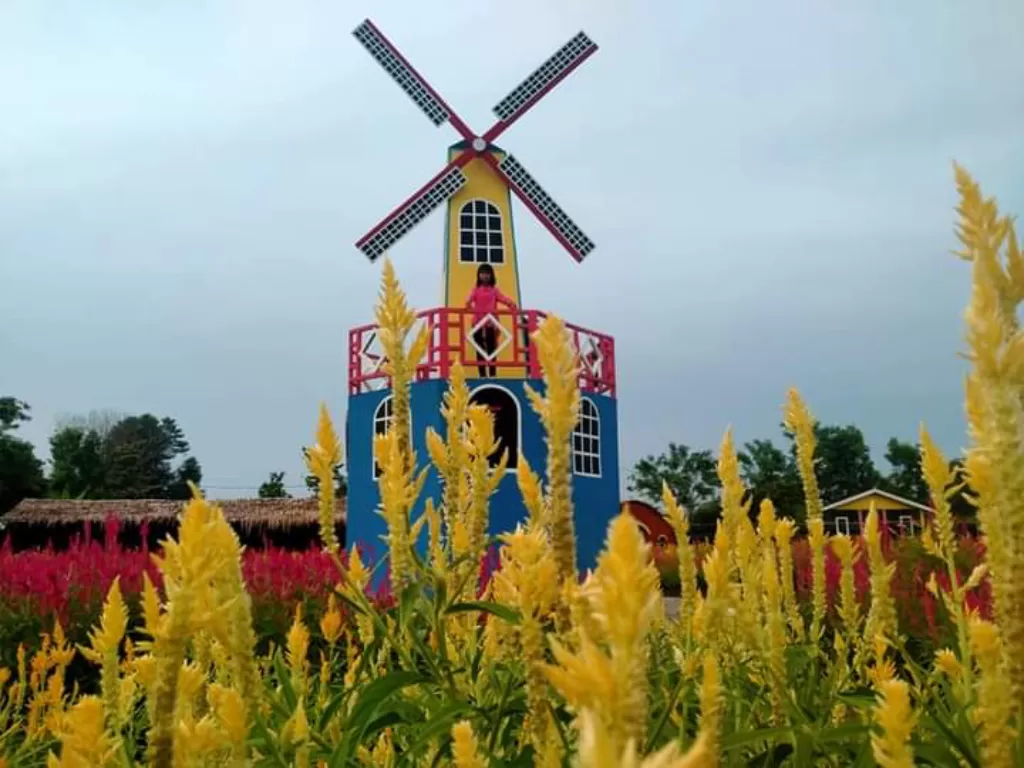 Taman bunga dengan kincir angin raksasa (Adiwinata/IDZ Creators)