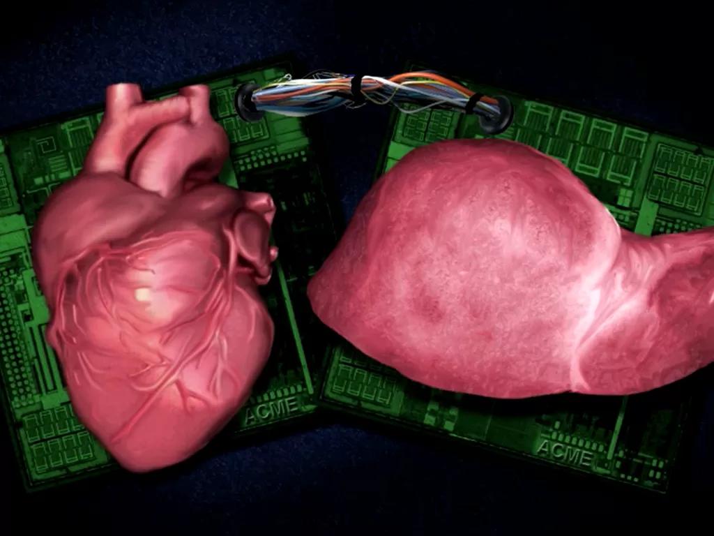 Ilustrasi penelitian organ tubuh manusia. (Photo/NBC News)