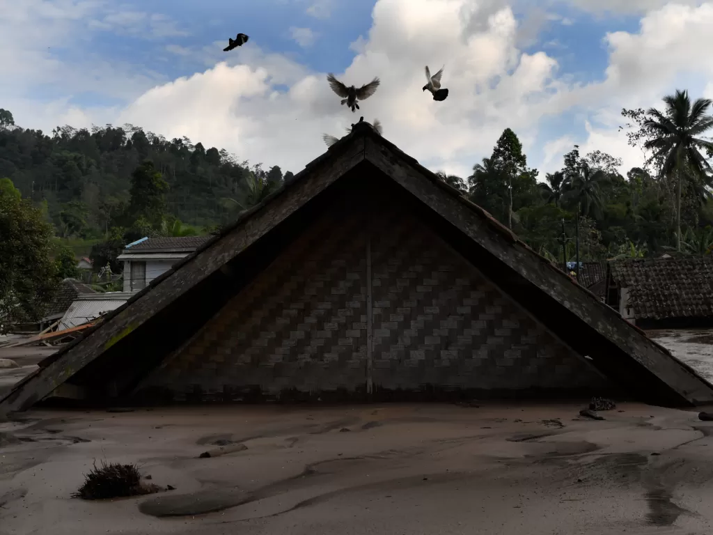 Puluhan rumah di dusun Kamar Kajang, Candipuro, Lumajang, terendam luapan lahar dingin erupsi Gunung Semeru. (ANTARA FOTO/Zabur Karuru)