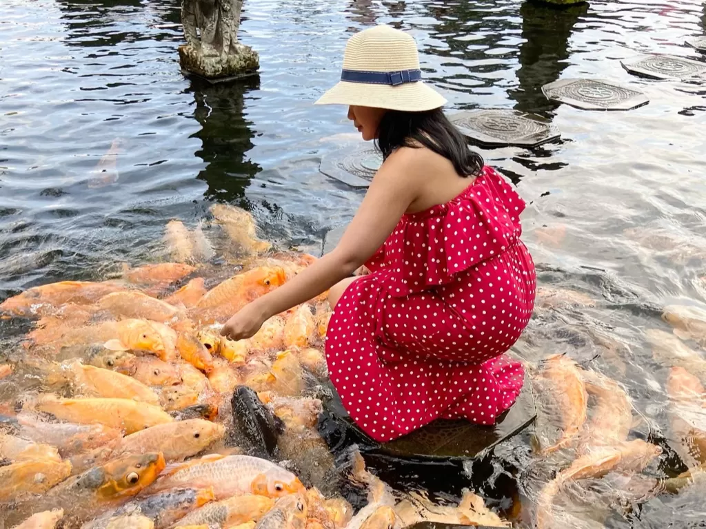 Atraksi memberi makan ikan di Tirta Gangga (Dada Sabra Sathilla/IDZ Creators)