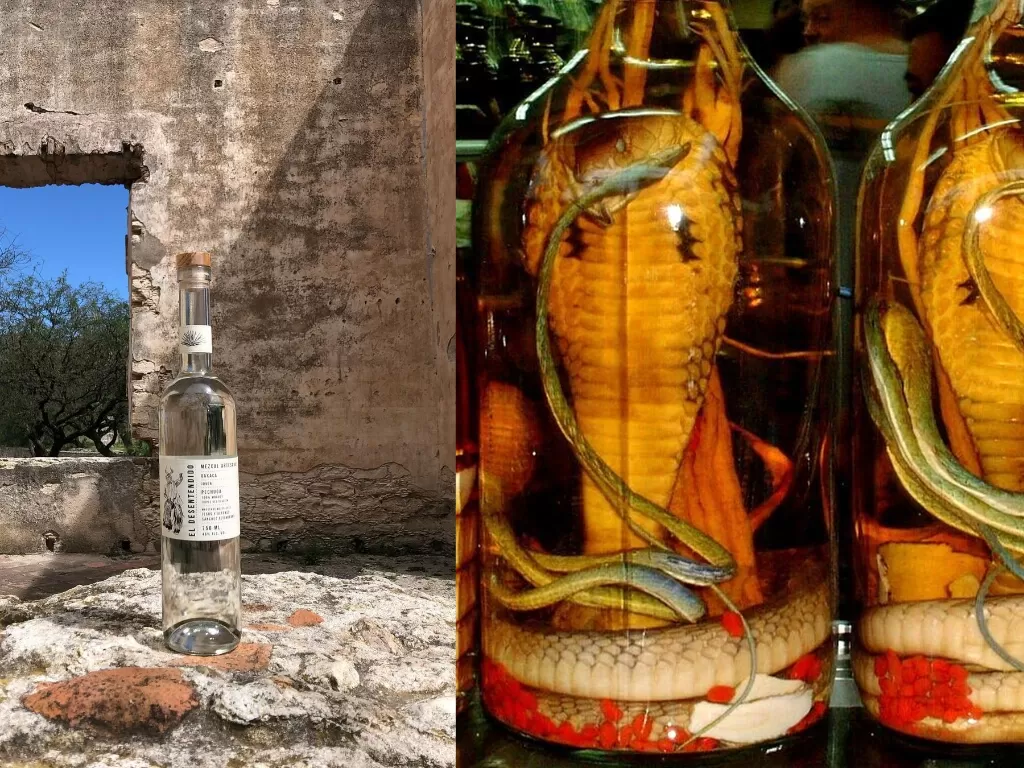 Mezcal de pechuga dan Snake Wine (Instagram/desentendido.mezcal/beyondblueseas)