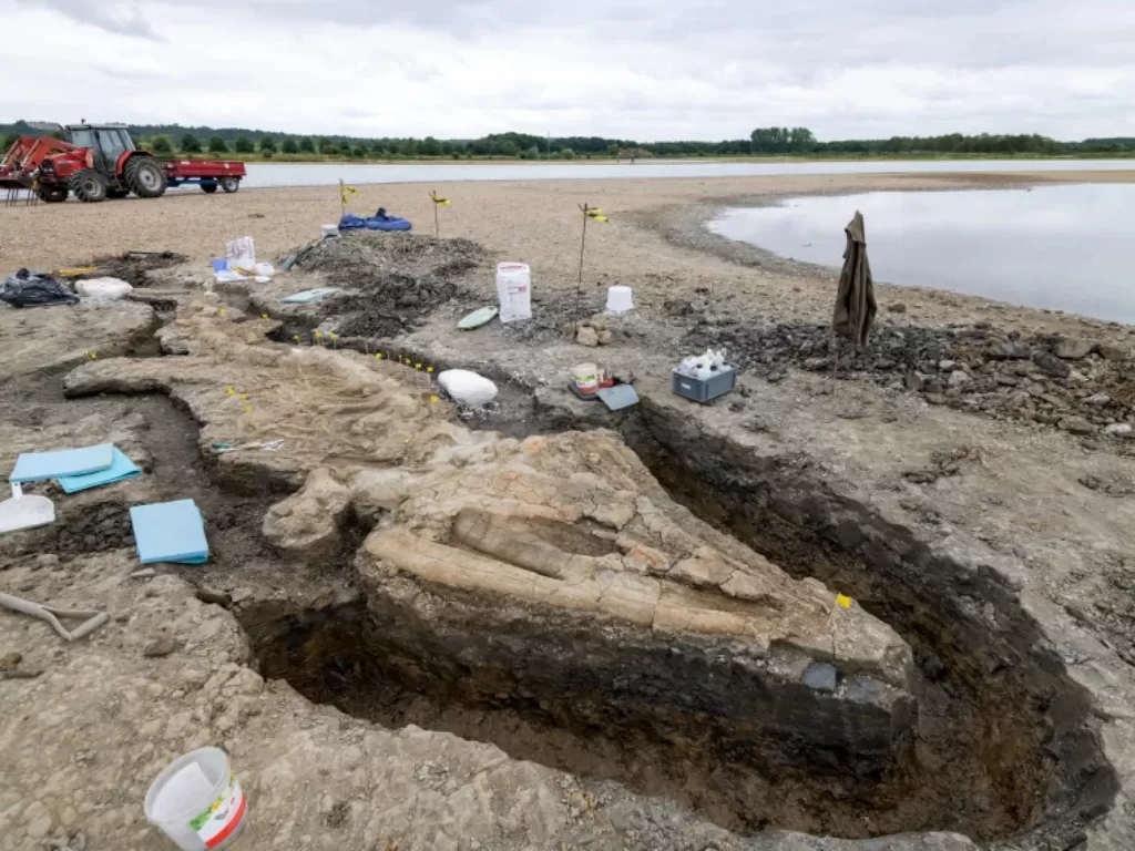 Penemuan fosil 'Naga Laut' raksasa di Inggris. (NBCNews)