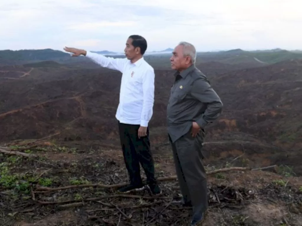 Presiden Jokowi dan Gubernur Kaltim tinjau lokasi ibu kota baru (ANTARA FOTO/Akbar Nugroho Gumay)
