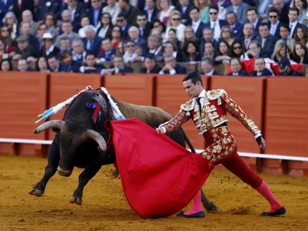 Aksi matador dalam pertunjukan adu banteng di Spanyol (REUTERS/Marcelo del Pozo)