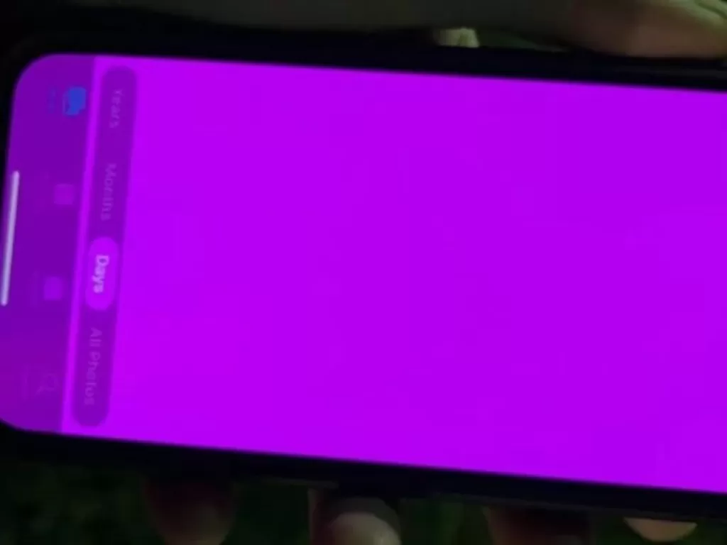 Tampilan pink screen dari salah satu pengguna iPhone 13 Pro. (ANTARA/HO/PhoneArena)