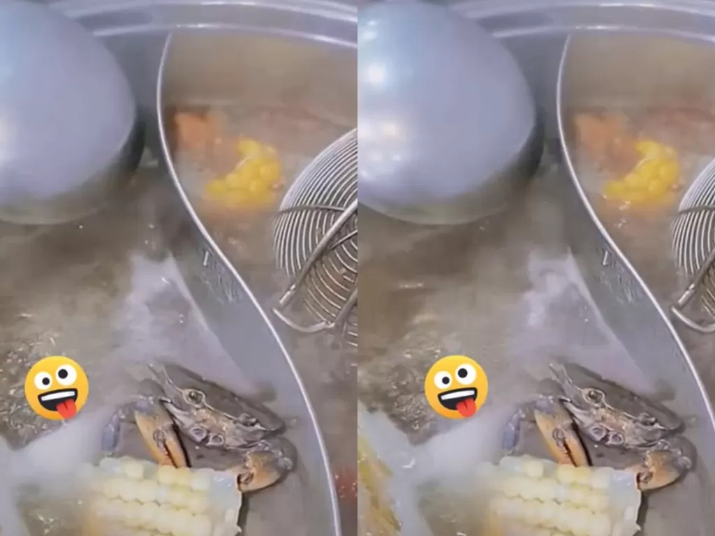Kepiting santai makan jagung di dalam panci berisi air mendidih. (TikTok/@petfunnyvideo0)