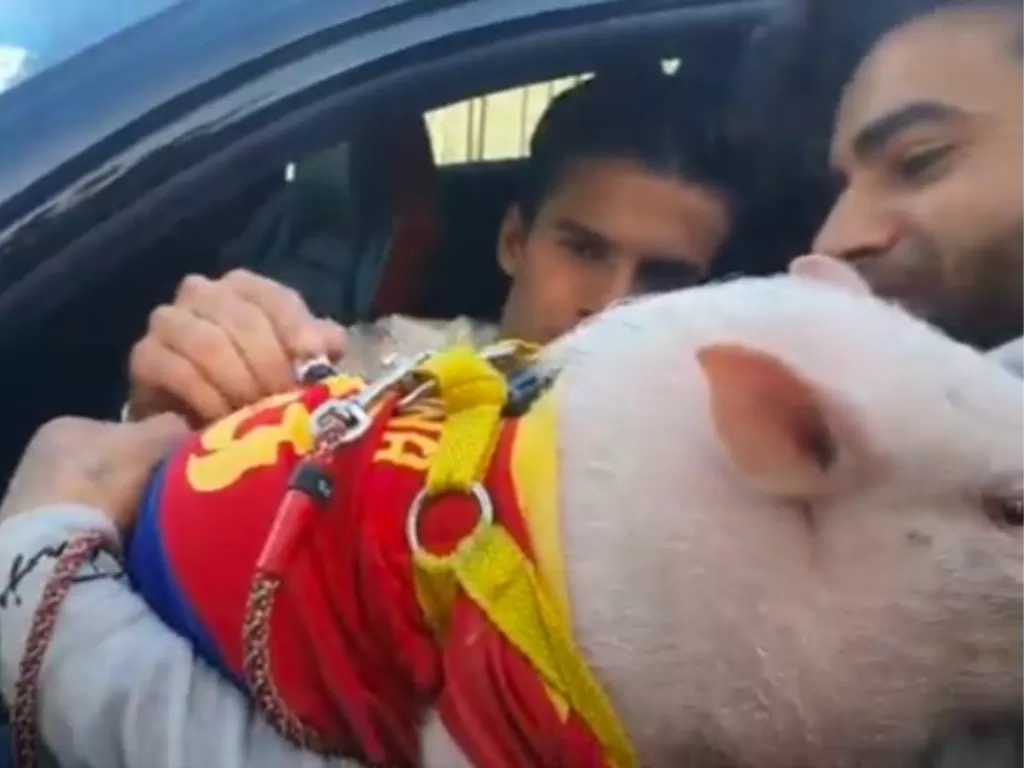 Gelandang muda Barcelona, Riqui Puig tanda tangani babi penggemar. (Screenshoot/Twitter/@DavidValdearen1)