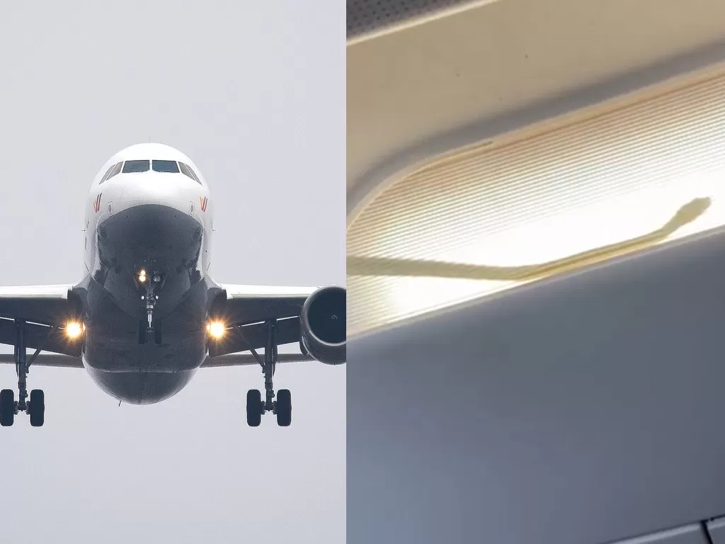 Ilustrasi pesawat. (Pexels) / Ular di kabin pesawat. (Twitter/@thevibesnews)