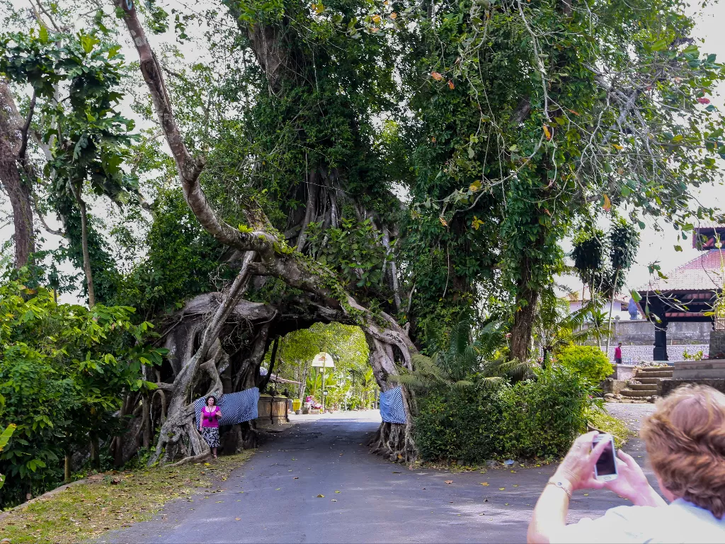 Pohon sakral yang dipercaya bikin pengantin gagal nikah (Rizal Fanany/IDZ Creators)