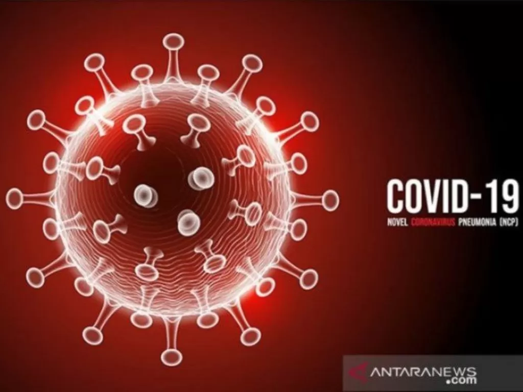 Ilustrasi virus Corona (COVID-19). (Antara)