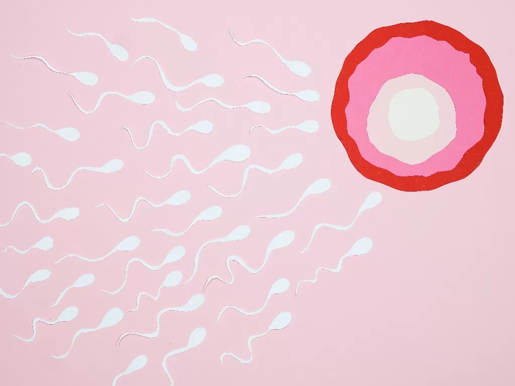 Ilustrasi sperma. (Pexels/Nadezhda Moryak)