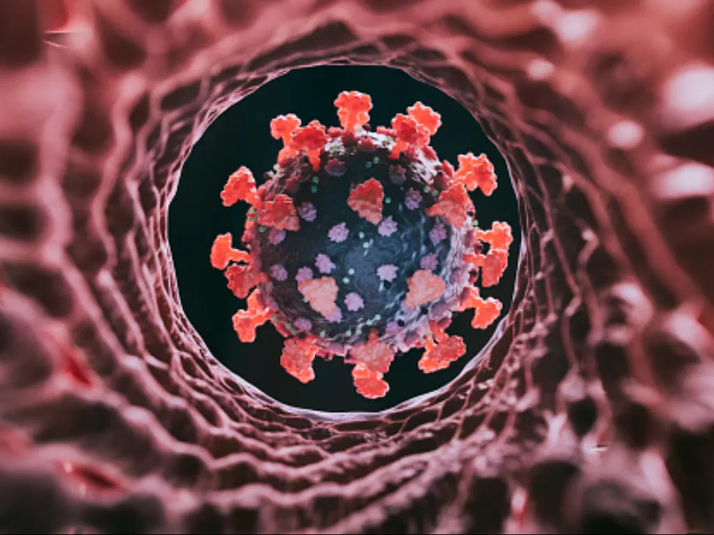 Ilustrasi virus Omicron BA.2 dalam saluran usus  (Unsplash/koto_feja)