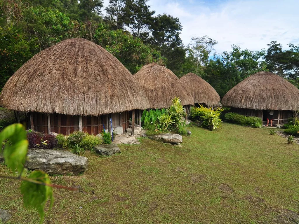 Ilustrasi rumah adat Papua (indonesia.travel)