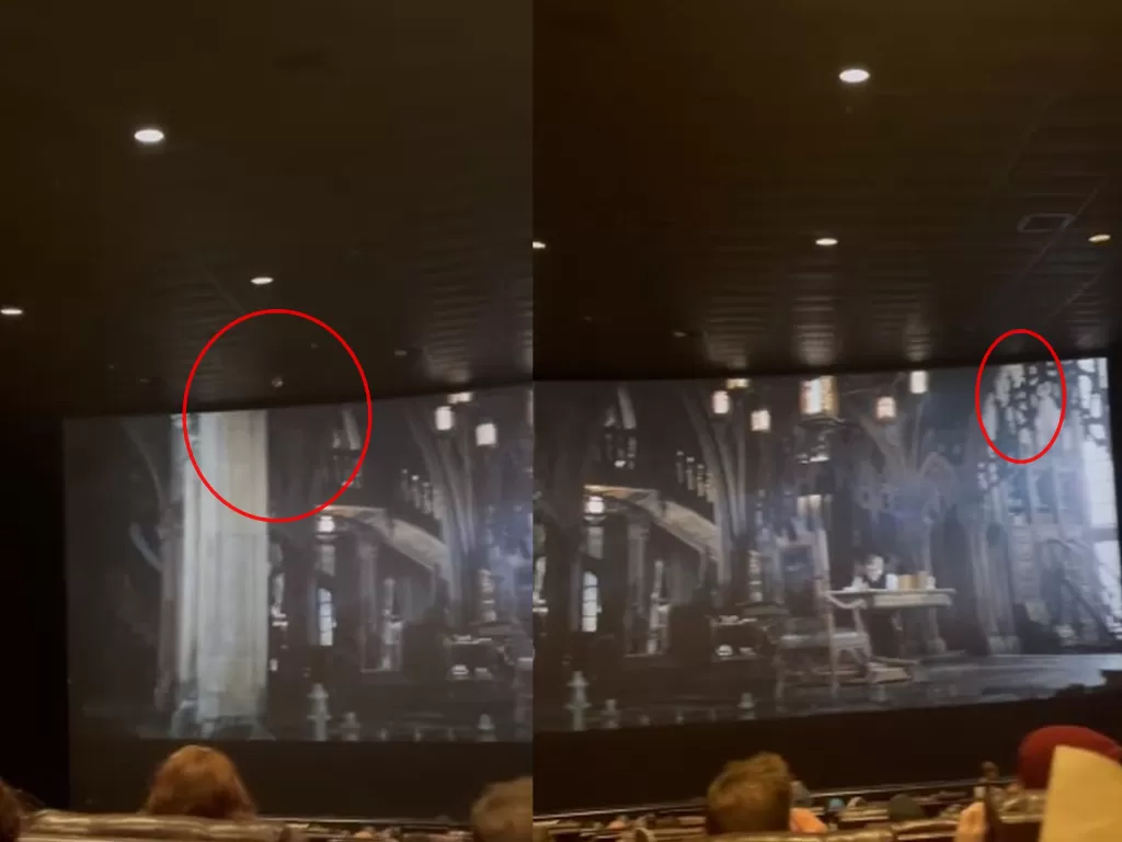 Seekor kelelawar terbang dalam bioskop saat pemutaran film The Batman (Twitter/@Jeremiah24_)