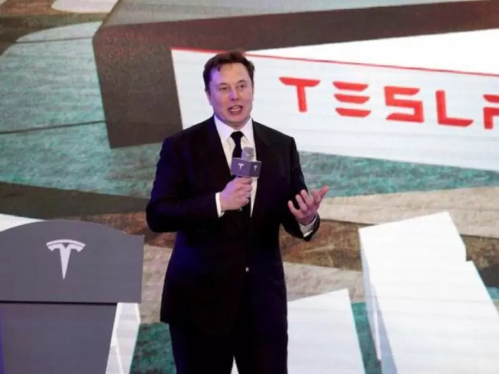 CEO Tesla Elon Musk (REUTERS)
