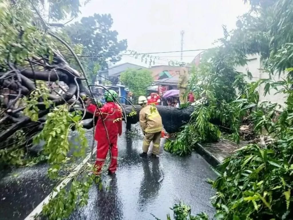 Petugas damkar evakuasi pohon tumbang di Pasar Rebo, Jaktim. (Dok. Pemadam DKI Jakarta)