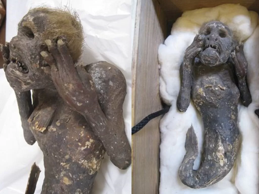 Mumi 'putri duyung' yang diduga ditemukan seorang nelayan pada abad ke-18 di Jepang (Kinoshita Hiroshi via Pen News)