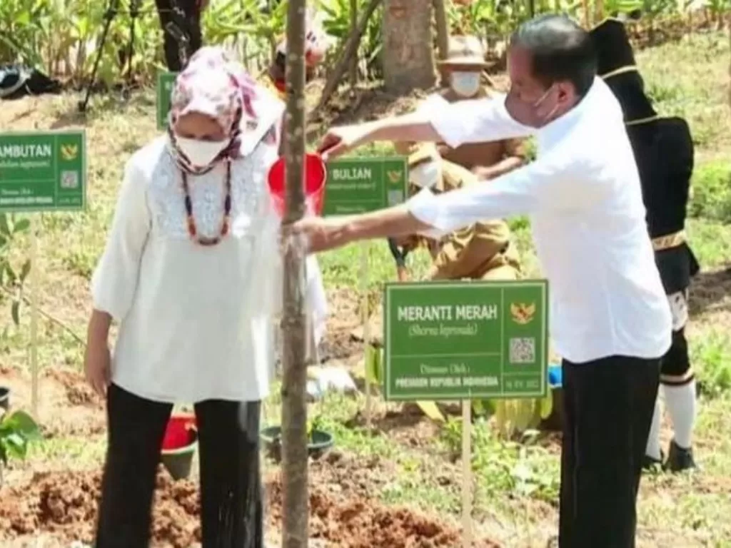Jokowi didampingi Ibu negara Hj Iriana Jokowi melakukan penanaman pohon di area IKN. (ANTARA/R'sya R
