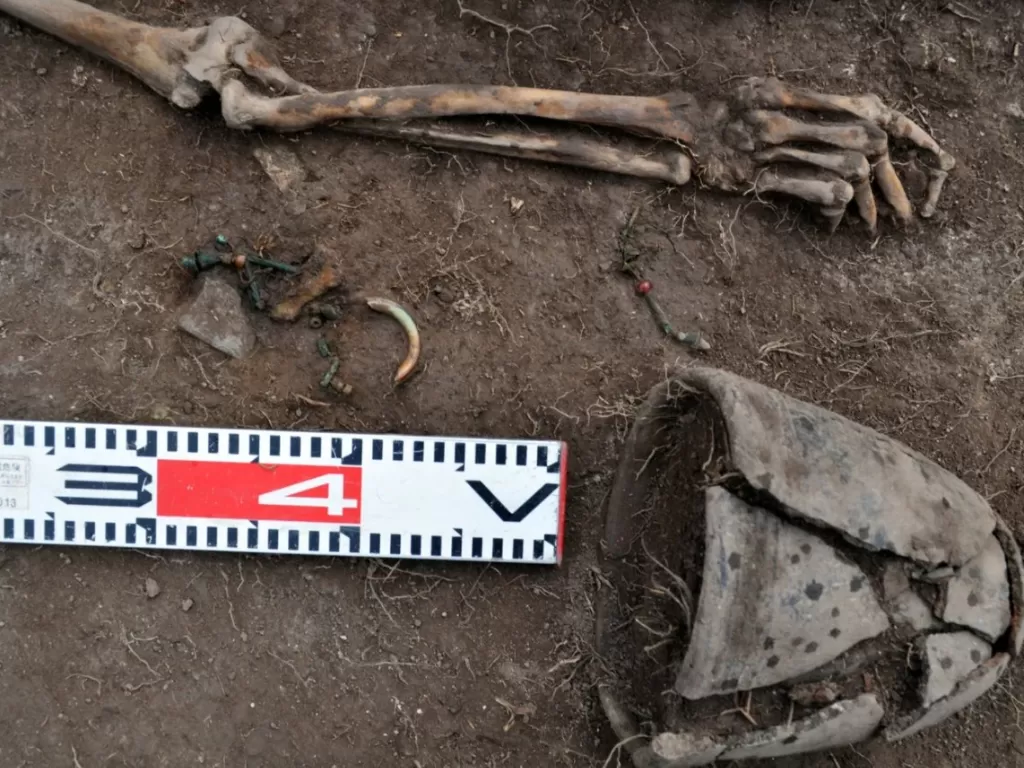 Penemuan artefak dari pemakaman zaman perunggu di Siberia (Evgeniy Bogdanov)