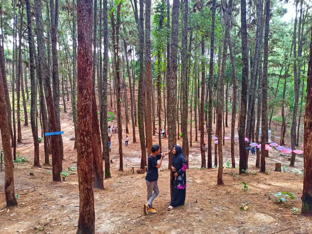 Hutan pinus, tempat healing warga Pekanbaru. (Winda Oktavia/IDZ Creators)