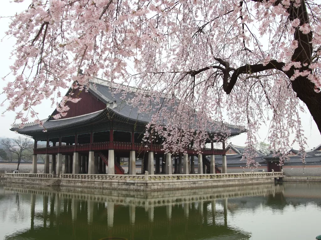 Istana Gyeongbok di Korea Selatan. (Pixabay/KIMDAEJEUNG)
