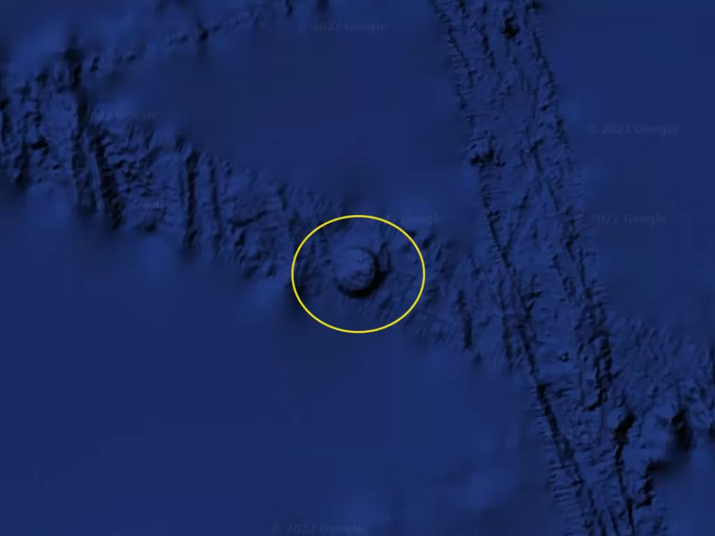 Bentuk lingkaran dalam gambar Google Earth diduga UFO (Google Earth)